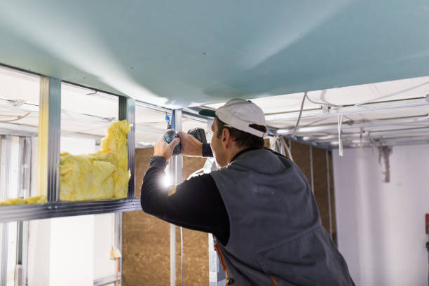 Best Commercial Insulation in Fruitland, NC