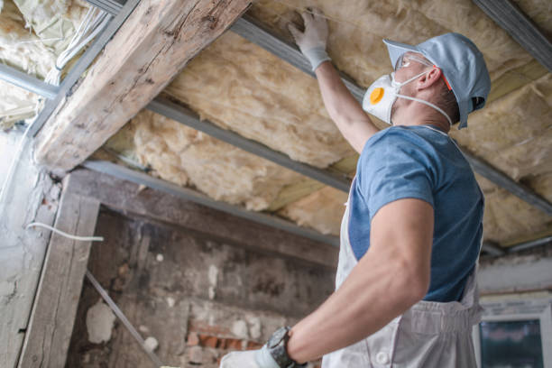 Best Insulation Maintenance and Repair in Fruitland, NC